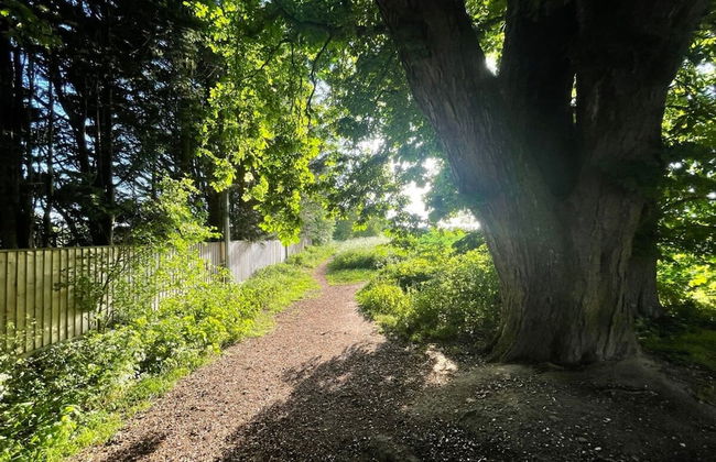 Luxury Home With Large Garden - The School House - Foto 54