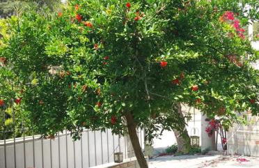 Fantastic villa, a 5 minute drive from the beach! - Foto 17