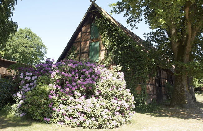 Ferienpension Lindenhof - Foto 27