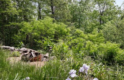 Stunning Mountain Views w Deck & Grill on 5 Acres! - Foto 44