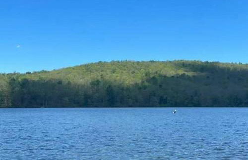 Cottage Retreat - Historic Cottage Home w Home Gym - Photo 23
