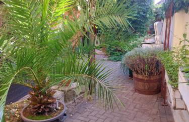 TheBackyard - Foto 5