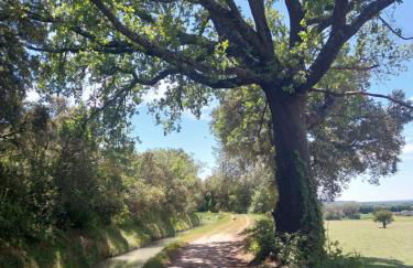 Eden - Mas de Rousseau - Foto 26