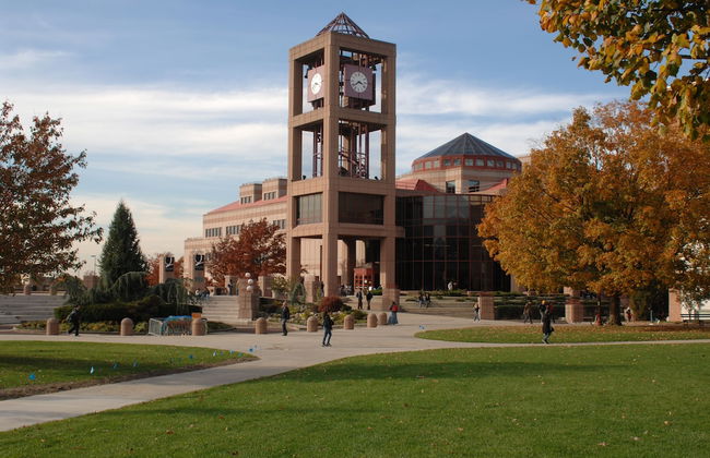 Artisan Suites New York JFK Airport - Foto 16