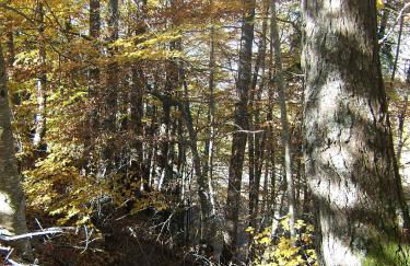 T3 coquet et lumineux aux pieds des pistes - Foto 28