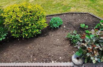 Haus Dannigkow - Foto 26