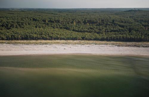 Zen Sasino - Foto 61