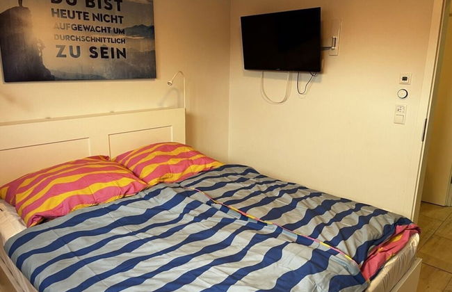 Pink Cow Modern Retreat - Photo 2