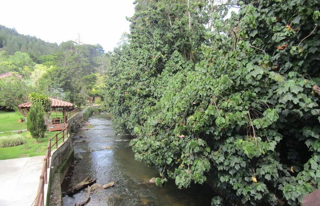 River Front Cabains - Photo 27