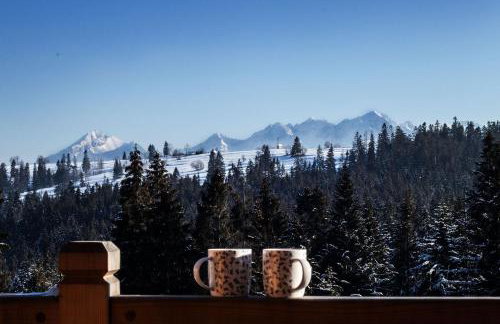 Domki Góralskie Tatrzański Zakątek - Foto 3