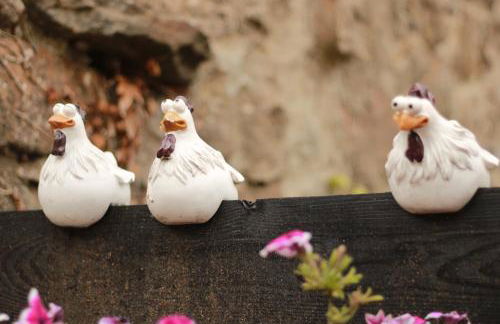 El gallinero de la villana - Foto 1