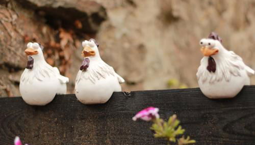 El gallinero de la villana - Foto 1