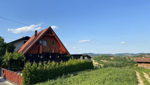 Family friendly house with a swimming pool Donja Stubica, Zagorje - 19236 - Foto 3