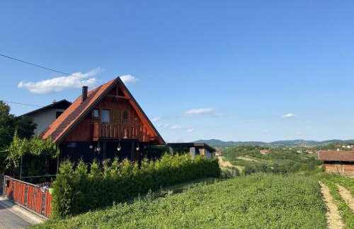 Family friendly house with a swimming pool Donja Stubica, Zagorje - 19236 - Foto 3