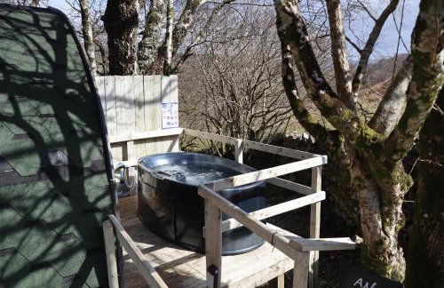 Ash Cabin with Hot Tub - Foto 30