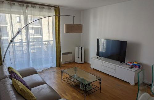 Appartement lumineux Seine, île St-Germain, proche Porte de Versailles et la Défense - Photo 10