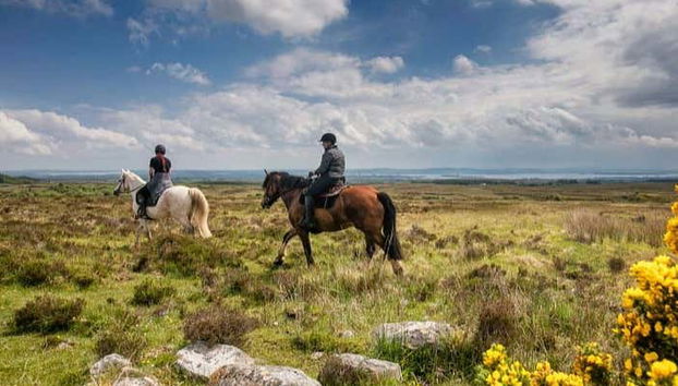 Prados verdes do oeste da Irlanda