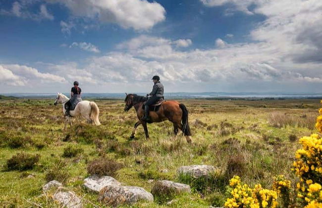 Balade à cheval à Lisdoonvarna - Photo 5