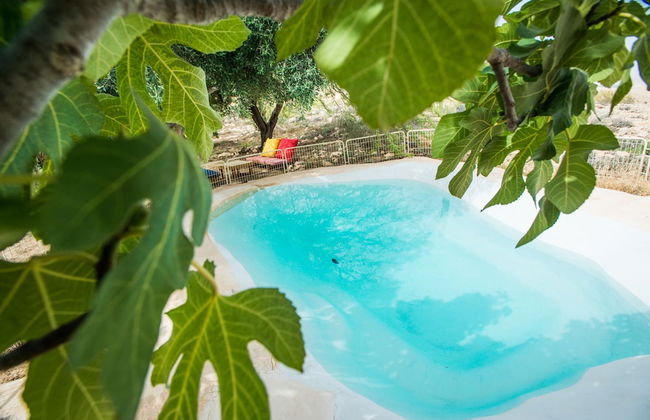 Carmey Avdat Farm - Foto 55