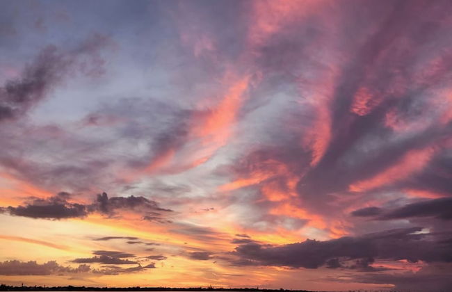 Paradise Cove at Lemon Bay - Foto 61