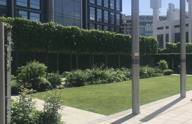 A1 Luxury Apartments - Foto 14