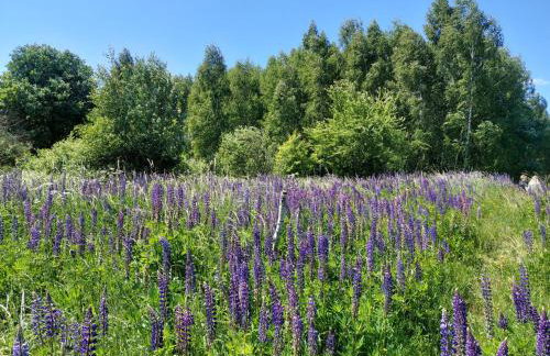 "Cztery Klony" - Foto 27