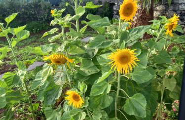 Dr. Cabral Barreto - Foto 15