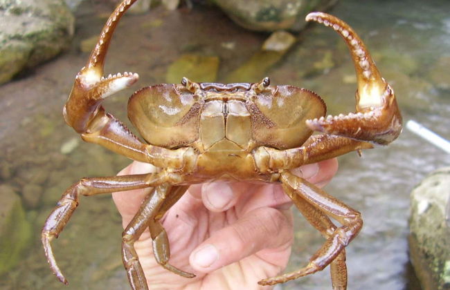 2, 3 or 4-Day Tres Chimbadas Lake Tour - Photo 5