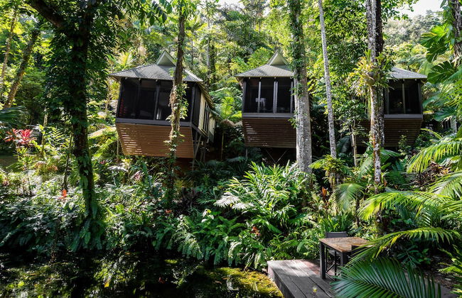 Daintree Ecolodge - Photo 53