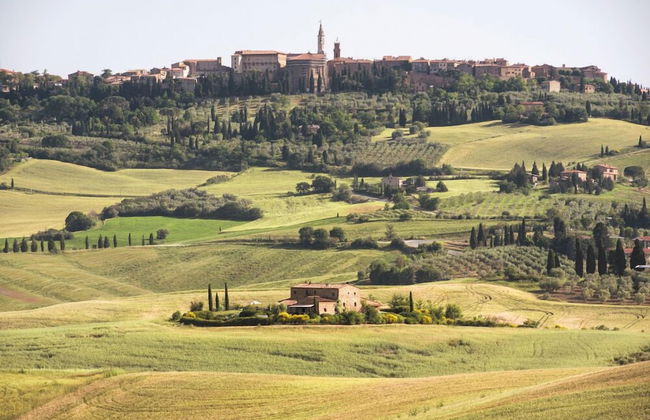 Verdidea - PRUGNOLO - Foto 59