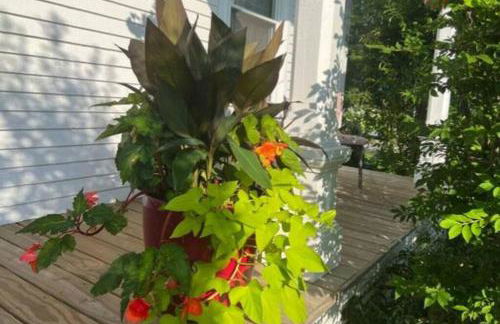 Falls Farmstead 1865 Ellis House Cozy and Comfy Apt #1 - Foto 22