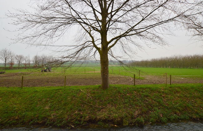 Spacious Villa near Town Center in Mesch - Photo 74