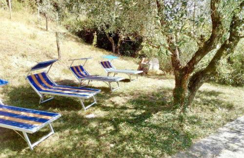 Ala di Maniero in Agriturismo Valdrago in Toscana, nel Verde Mugello sulle Colline di Firenze Autodromo Mugello Circuit - Foto 31