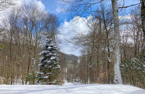 Mars Hill Cabin with Pool Table about 2 Mi to Wolf Ridge - Foto 30