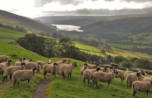 Wensleydale Halls - Photo 35