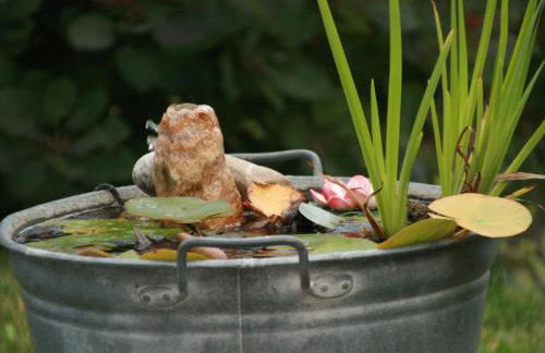 Ferienwohnung am Rotdornweg - Foto 15