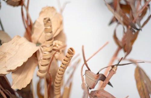 Casa Auxilia - Foto 12