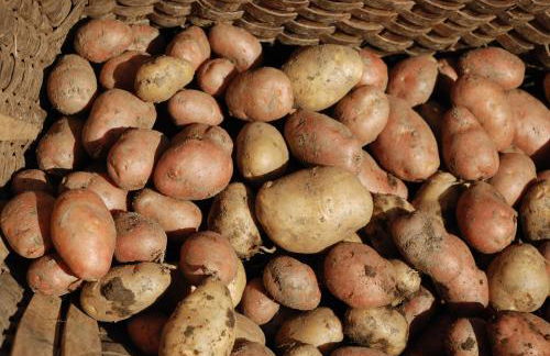 Alpinus Agriturism - Photo 61