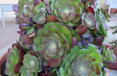 Agriturismo Fieri - Foto 11