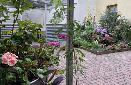 Apartment Marktgeflüster - Foto 25