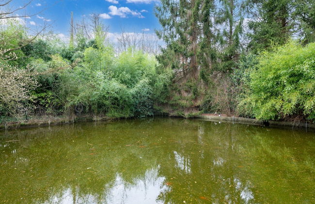 Arendonk Pondside Chalet - Foto 31