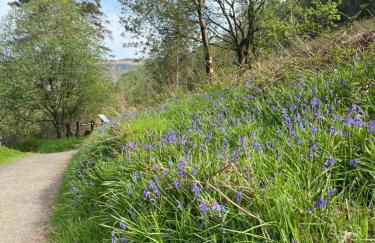 Tavnaghoney Cottages - Foto 36