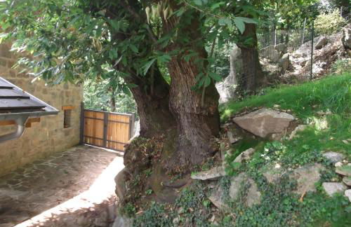 Agriturismo Ai Ronchi - Foto 10