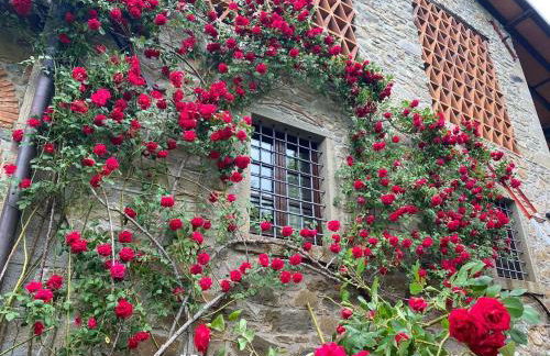 Comfortable house with pool in Castelnuovo di Garfagnana - Foto 28