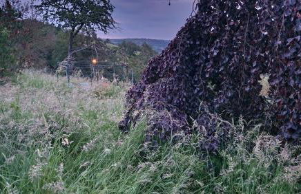 Ferienwohnung Pfalzblick - Photo 5