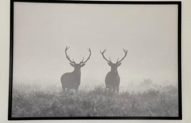 Majestic Villa in Zeewolde With Garden - Foto 13