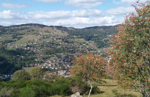 RELAX CHALET Nature Retreat - isolé sur 3 hectares - confort de LUXE - maison entière 150m2 - près de La Bresse - Foto 55