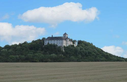 FeWo Die Dittrichs - Photo 18