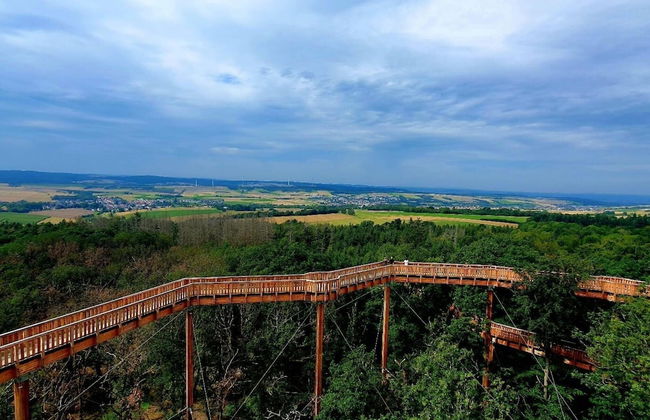 Apartment In Bad Camberg With Terrace - Foto 37