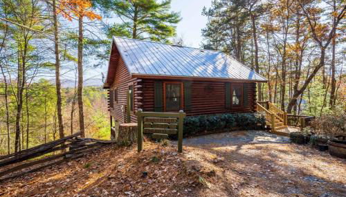 Hog Heaven - Cherry Log GA - Pet Friendly Cabin - Foto 2, Other